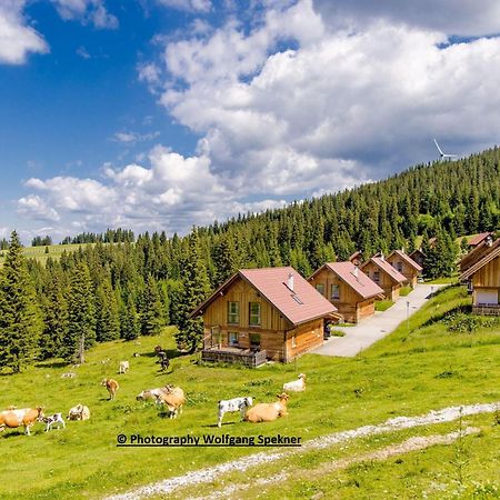 Beautiful Holiday Home in Weinebene with Sauna Posch Alpe Exterior foto