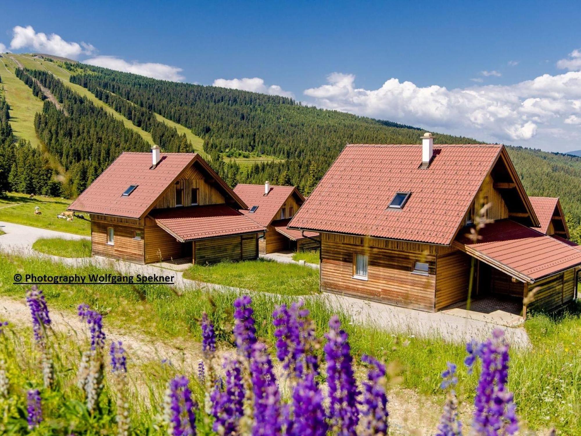 Beautiful Holiday Home in Weinebene with Sauna Posch Alpe Exterior foto