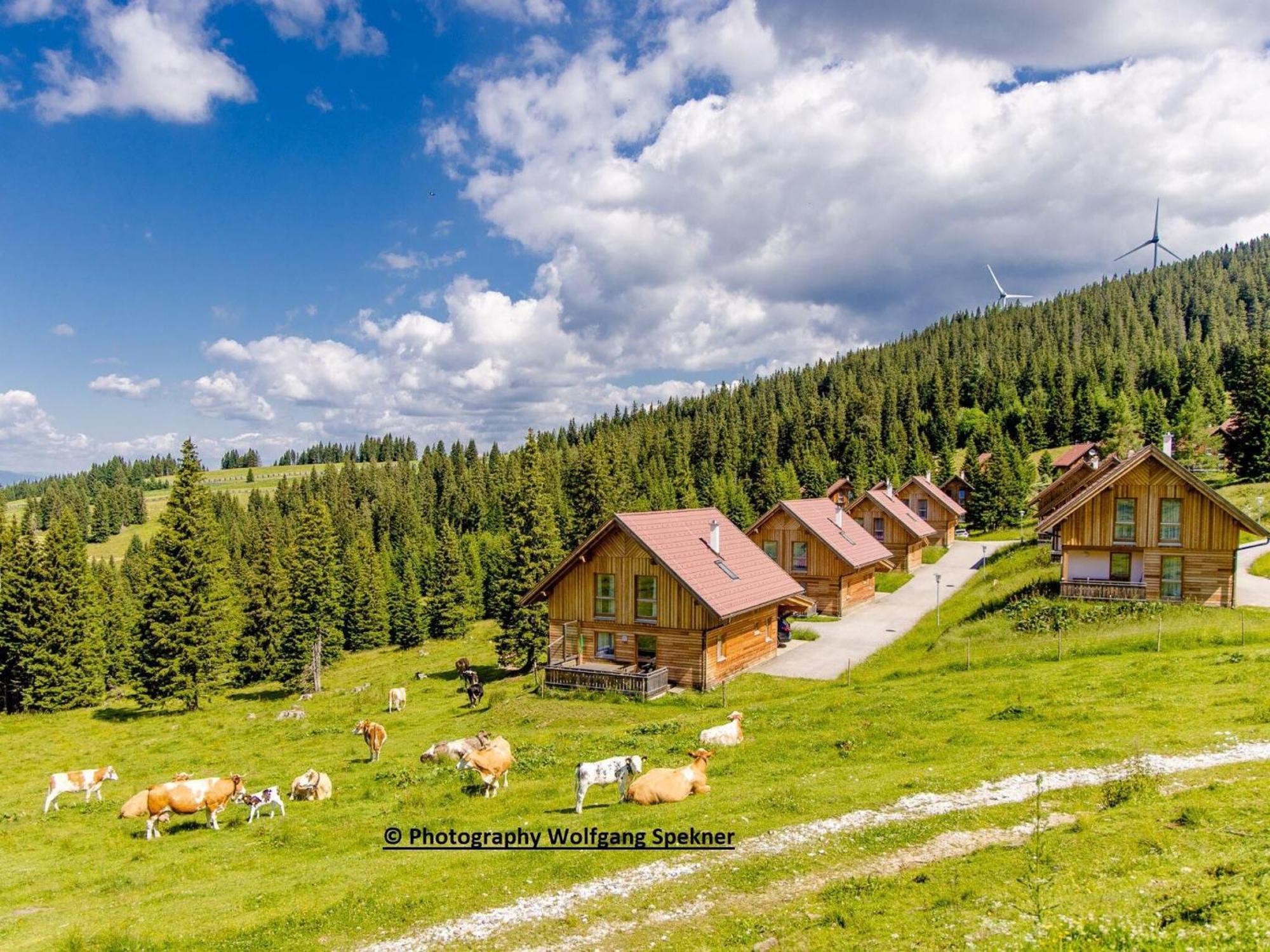 Beautiful Holiday Home in Weinebene with Sauna Posch Alpe Exterior foto